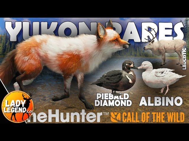 CRAZY RARES Were EVERYWHERE in Yukon!!! - Call of the Wild