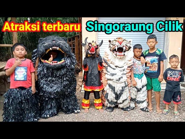 Mengamuk...atraksi terbaru singo Raung cilik