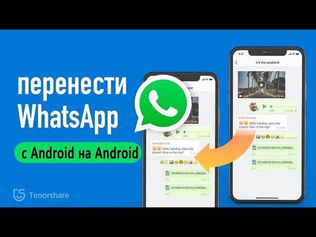 Как перенести WhatsApp с Android на Android [2 способа]