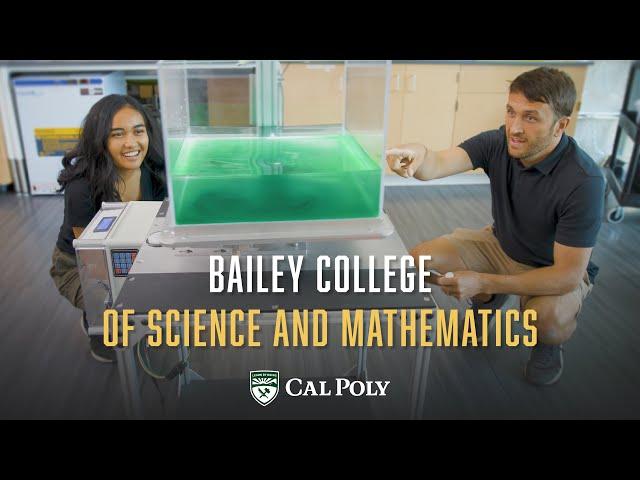 Best of All Worlds: Bailey College of Science and Mathematics: