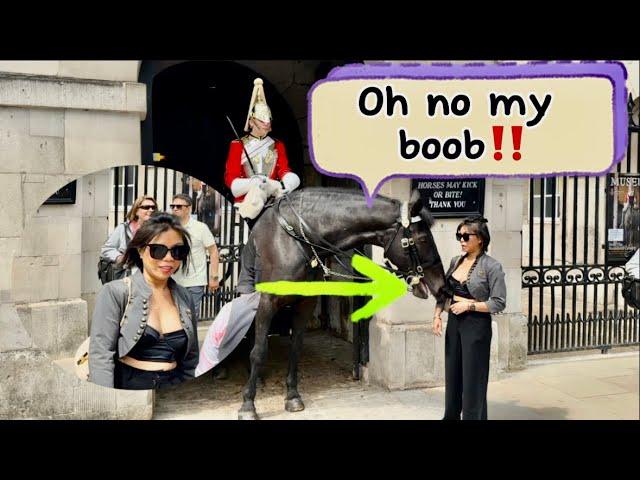 Unbelievable Tourist, the horse Lick her boobs (ops)