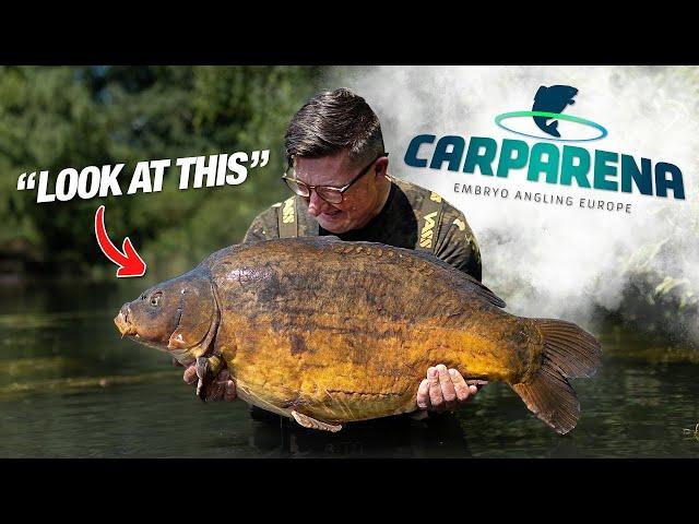 'Proper' Fishing at Carp Arena (Belgium) | Danny Fairbrass