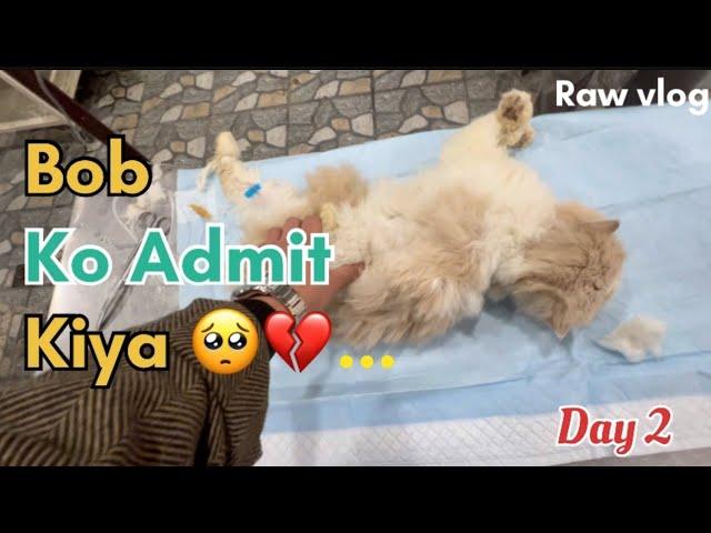 Bob ko Admit kiya ️-Day 2