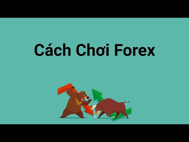 Chơi Forex là gì - Hướng dẫn cách chơi Forex cho người mới bắt đầu