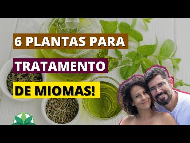 6 plantas para o tratamento de miomas! Trate miomas de forma natural!