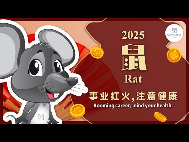 2025 RAT Chinese Zodiac Forecast 属鼠生肖运势