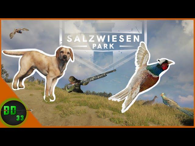 We Built The Greatest Bird Dog Ever *Early Access* Call Of The Wild