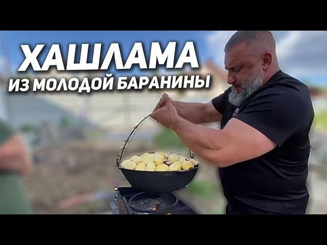 Хашлама из молодой баранины на костре. Готовит Максюта