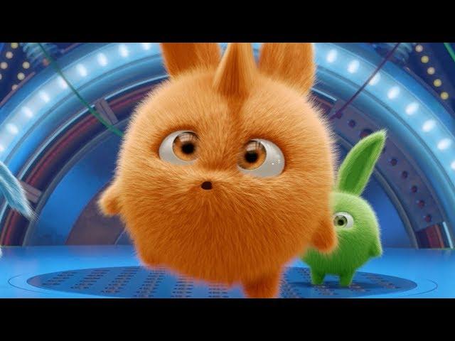 Videos For Kids | Sunny Bunnies - TURBO IN THE SPOTLIGHT | Funny Videos For Kids