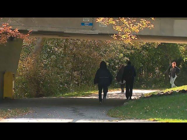 More than 90 people arrested in human trafficking investigation in Ontario