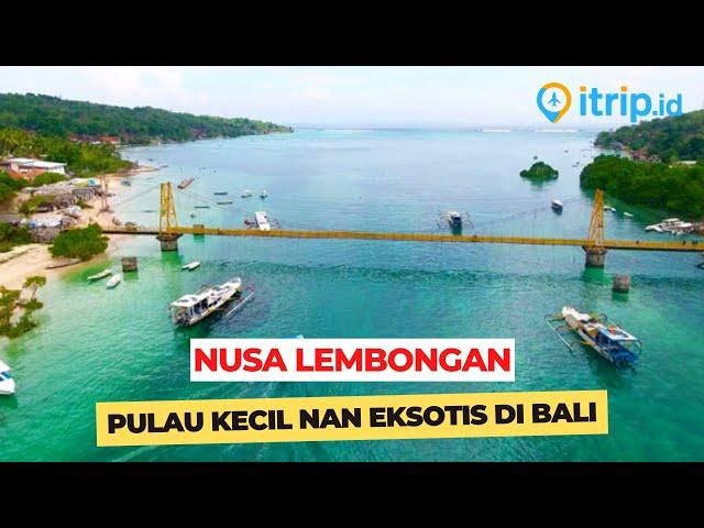 Nusa Lembongan - Spot Diving & Snorkeling Terbaik di Bali