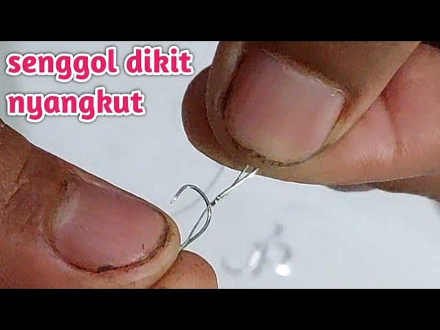 tutorial pancing lumut ,senggol dikit nyakut , #kail daici #kilikili #ekokenduk