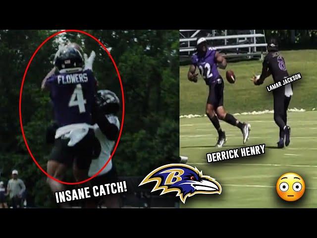 ZAY FLOWERS UNREAL GRAB   Lamar x Henry BACKFIELD  Ravens Mini-Camp Highlights