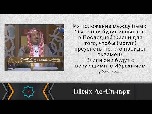 Положение детей многобожников | Шейх Мансур Ас-Симари