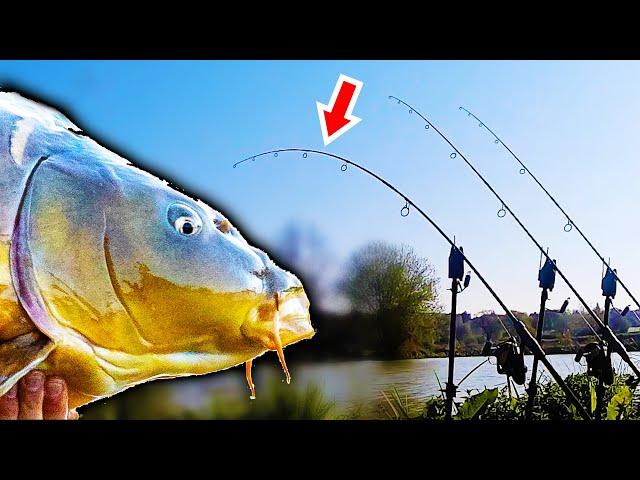 My Quest For A 40lb Carp...