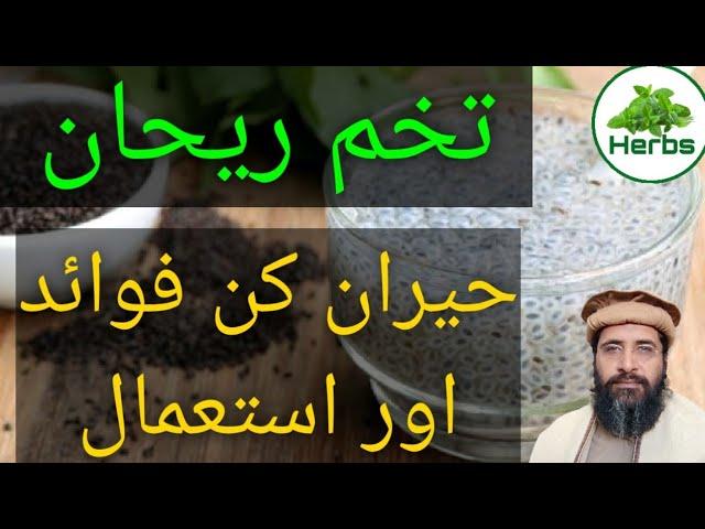 Health Benefits of Basil Seeds Urdu/Hindi | Tukhm e Rehan ke fawaid | Hakeem Zia ur Rehman