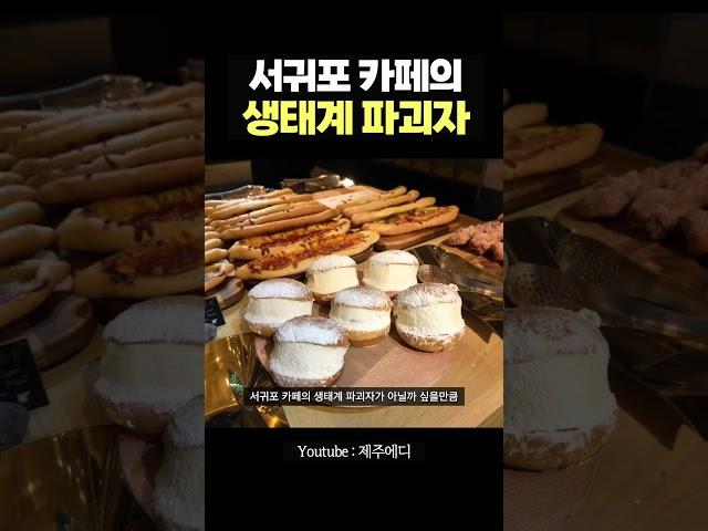 이 카페는 반칙이죠... 요즘 사람들 오픈런 하는 서귀포 카페