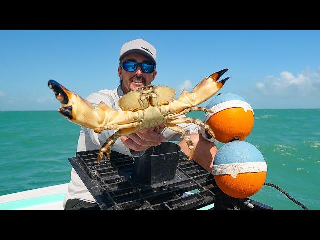 Stone Crab Season is OPEN!!! Catch and Cook