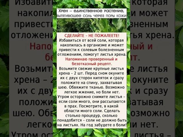 #здоровье #полезныесоветы #духовность #смыслжизни #мудрость