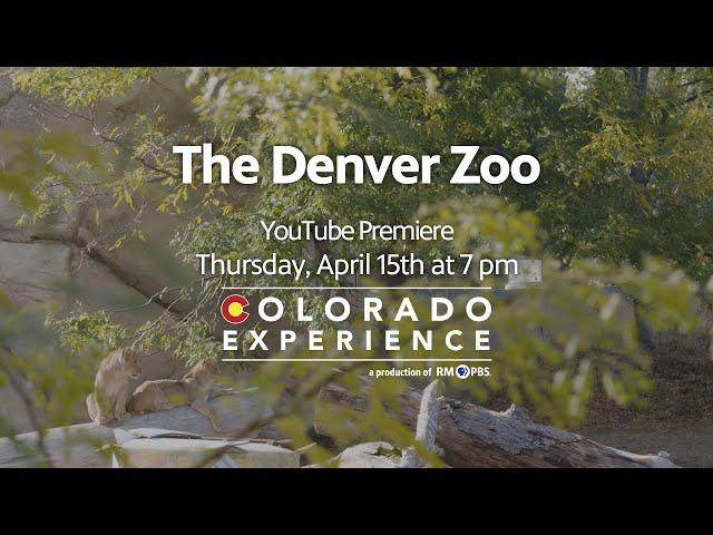 Colorado Experience: The Denver Zoo