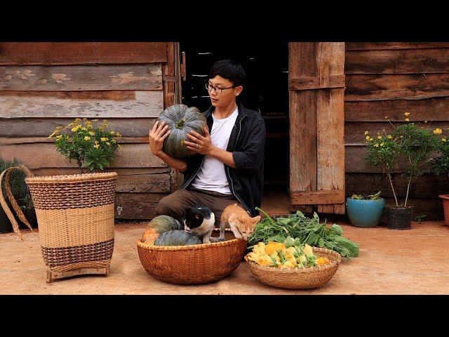 Autumn pumpkins are the sweetness of nature | Bui Ngoc Quang