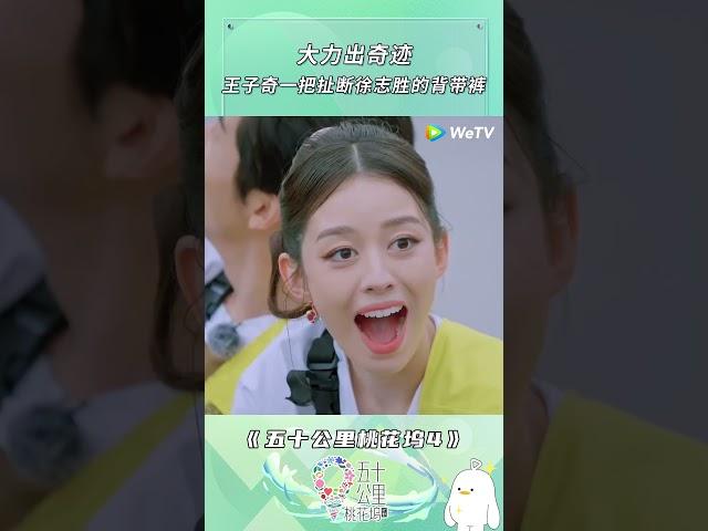 #五十公里桃花坞S4 #王子奇 一把拉断#徐志胜 的背带只有志胜受苦的世界 |《五十公里桃花坞 第4季》Wonderland S4 #shorts #综艺