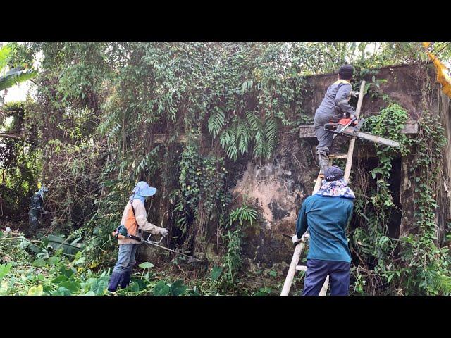 [EXCEED] Cleaning the abandoned house overgrown with trees and weeds | Attractive transformation