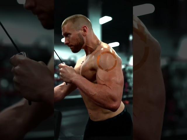 The BEST Exercises for Bigger Triceps