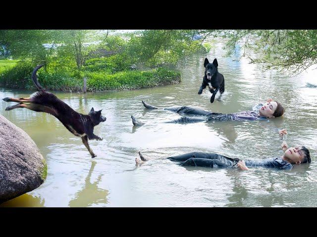 Sacrifice Yourself To Save Master - Let's See How The Smart Dog Saved Ly Thi Hoa From Drowning?