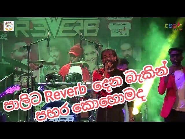 Reverb With Pali Bagra | Maraka SHAKTHI Colur Night 2023