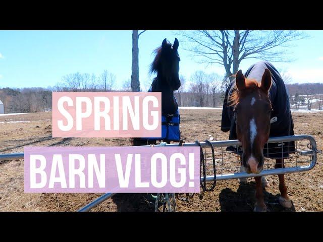 Friday Pulled Another Shoe?! BARN VLOG | Equestrian Prep