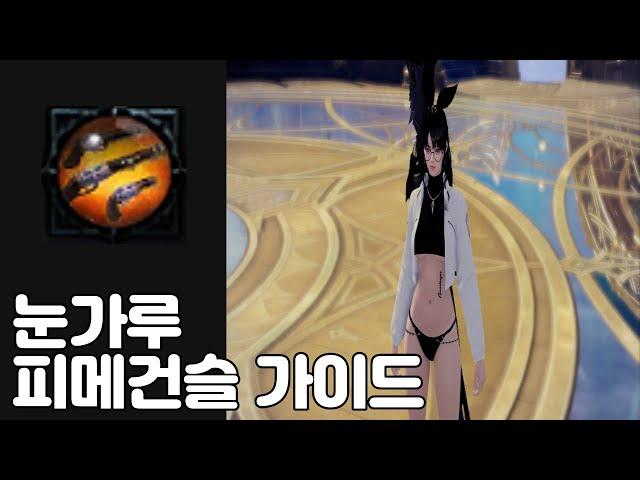 [로스트아크] 눈가루 피메건슬 가이드