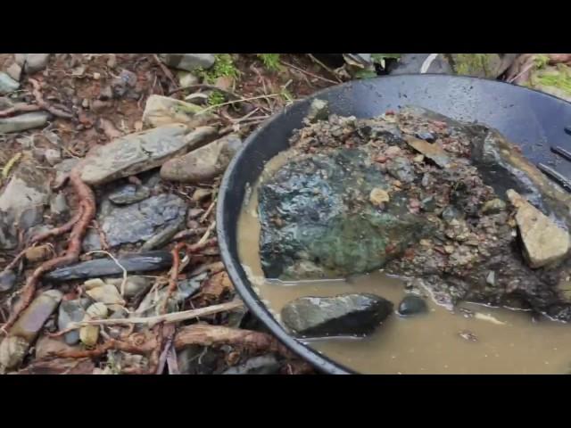 Creek Digging For Gold In California