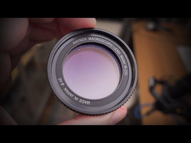 Why Every Macro Photographer Should Own a Raynox DCR-250