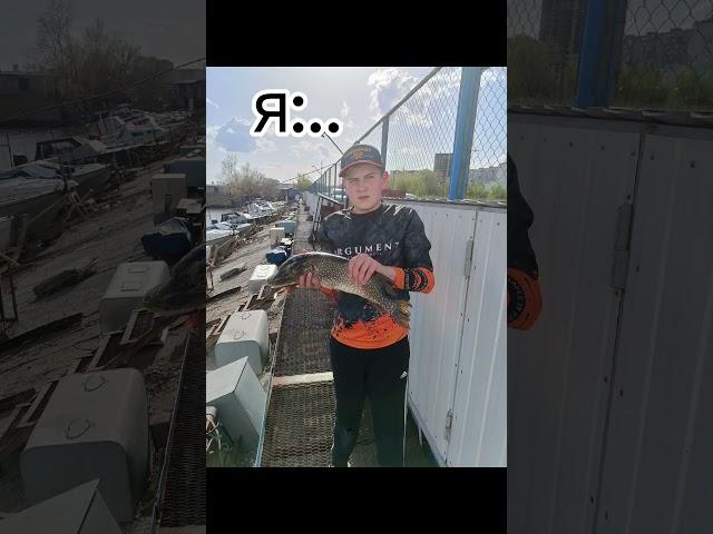 Вот как им сказать? #fishing #ловим #рыбный #рыболовная #щука #карп #рек #carpfishing #топ #обзор