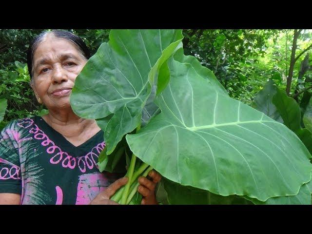 Healthy Foods / Cooking Green Taro Leaves in my Village by my Mom / Village Life