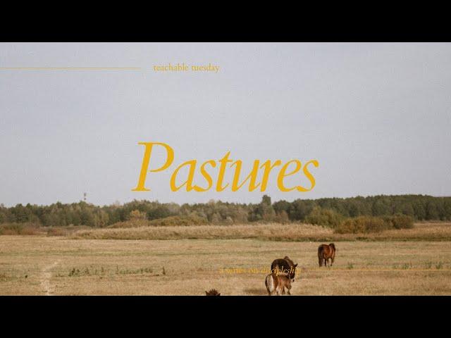 Pastures: A Series on Discipleship // teachable tuesday with Beth Davis