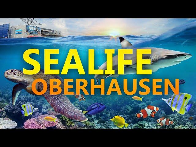 SEA LIFE Oberhausen | Zoo-Eindruck
