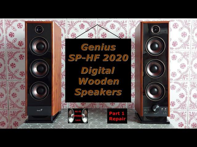 Genius SP-HF 2020 Multimedia Speaker Systems (2012) Part 1 Repair