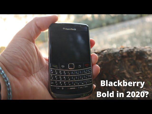 Will the Blackberry Bold survive in 2023?