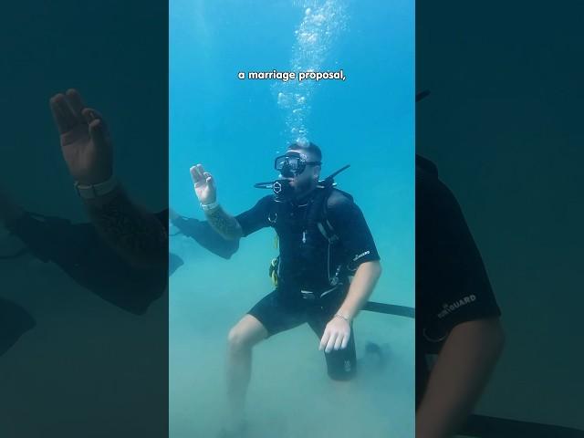 Reef Oasis diving center | Fujairah