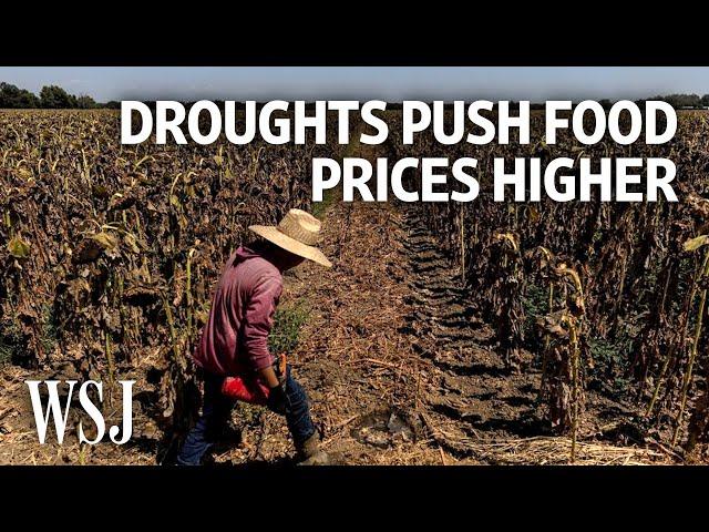 How Extreme Droughts Are Fueling Food Inflation | WSJ