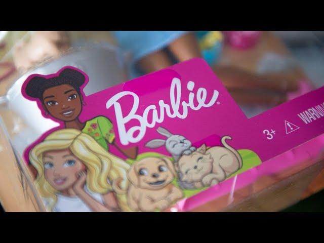 Mattel Had an Exceptional Quarter: CEO