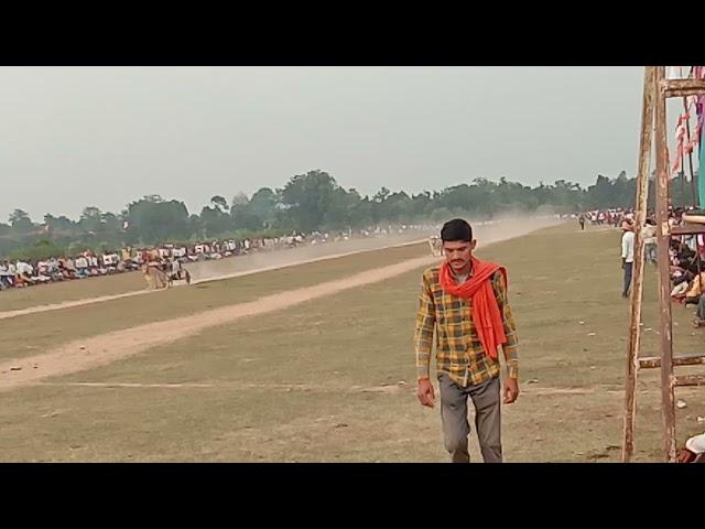 videsh Uikey Vijaypani kala vs tikari pat pratiyogita Vijaypani ox race final round 28.6