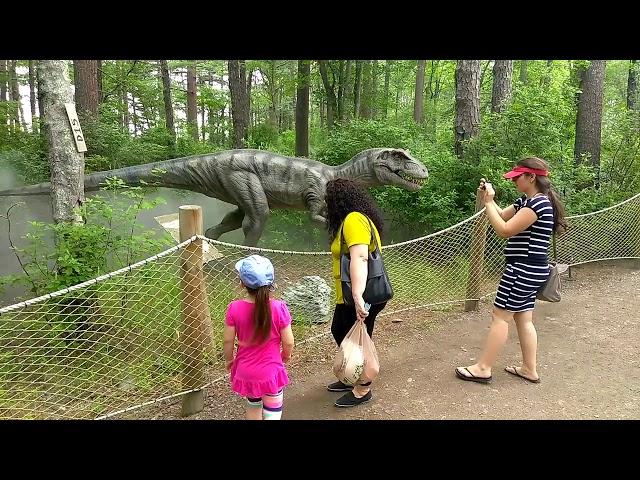 Briel in Edaville park, Dino Land, Carver, MA July 2017