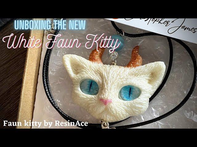 Unboxing the new Fawn Kitty Necklace from ResinAce | Package Opening