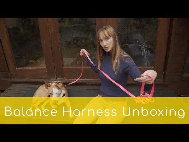 Blue-9 Balance Harness Unboxing