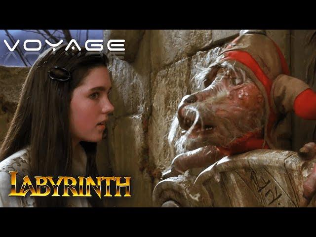 Two Door Riddle And Helping Hands | Labyrinth | Voyage