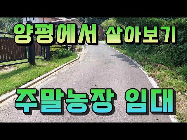 [주말농장 임대] 신고완료된 농막, 전기  정화조, 온수기까지 완비!! 올 12월까지 사용 후 재계약 가능!!월70만원으로 주말농장 체험을~~매물번호707313