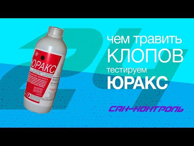 Чем травить клопов. Тестируем ЮРАКС.#СанконтрольКрасноярск.